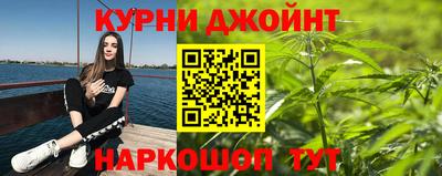 прущие грибы Гагарин